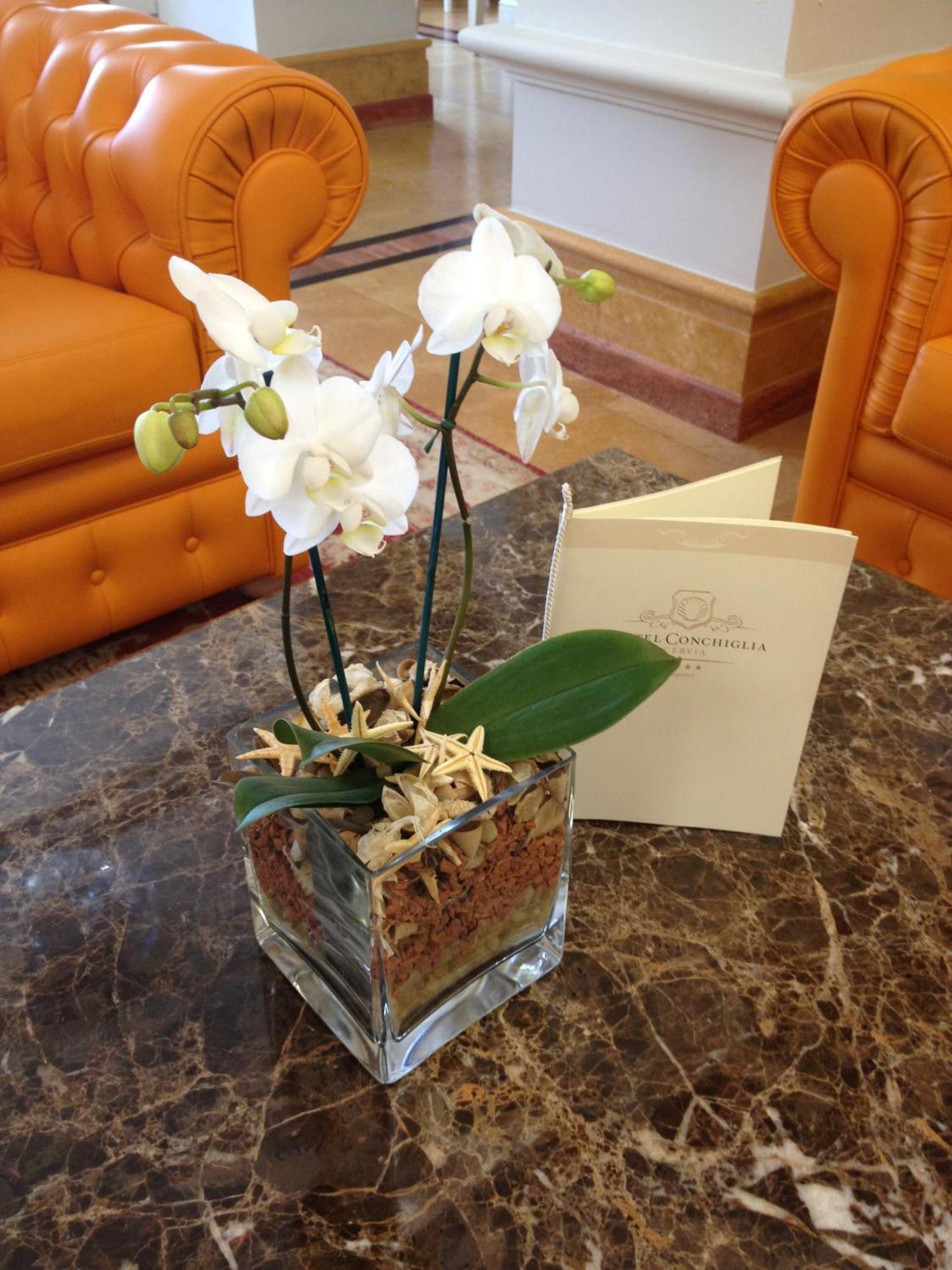 Hotel Conchiglia 체르비아 외부 사진